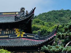 -普陀山风景名胜区-法雨禅寺