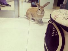 -雨林宠物医院 非犬猫异宠专科
