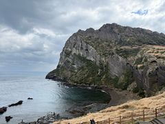 -涉地可支