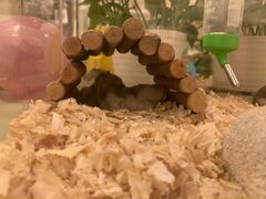 -龙猫仔乐园(惠福东路店)