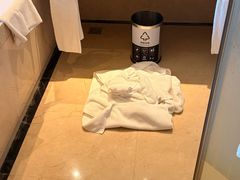 -广州增城富力万达嘉华酒店(增城万达广场地铁站店)
