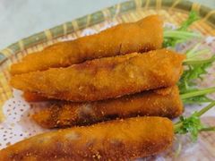 -丁老爷子苏香圆