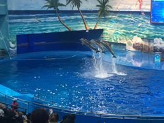 -多彩贵州城极地海洋世界