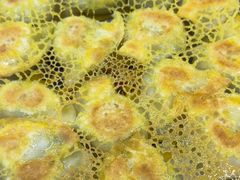 -北方饺子王·海肠捞饭·海鲜锅(山大店)