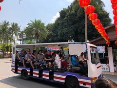 -东芭乐园