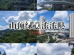 -狐尾山公园