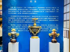 -瑞象国艺馆