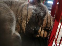 -第三空间·趣味桌游·轰趴.室内CS.剧本杀(大武汉1911店)