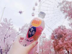 -东湖生态旅游风景区