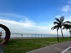 -野狸岛