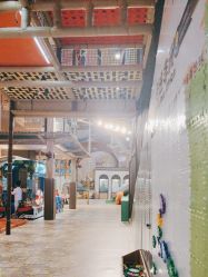 -卡通尼·Safari非洲探索乐园·生日会(金桥国际商业广场店)