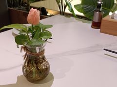 -船歌·鱼水饺青岛菜(恒隆广场店)