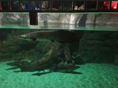 -常州海昌海洋探索馆