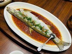 -老绍兴养和饭店(向阳不夜城店)