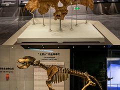 -北京周口店北京人遗址博物馆