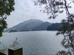 -广州市流溪河国家森林公园
