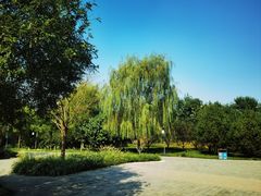 -张家湾公园