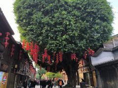 -三坊七巷历史文化街区