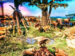 -国家自然博物馆