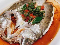 葱椒鲈鱼-绿茶餐厅(昌平悦荟店)