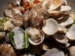 -前海沿·青岛菜(五四广场永旺店)