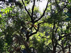 -长春市南湖公园