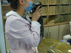 -瑞派宠物医院·24h·骨外科·皮肤科·全科宠物医疗转诊中心(沈阳浑南院)