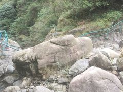 -宁波五龙潭景区