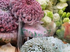 -双季花艺园艺市场(浦东店)