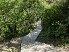 -金龙寺国家森林公园