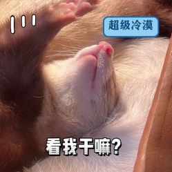 -奇幻萌宠部落(映月湖环宇城店)
