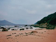 -西涌国际滨海旅游区