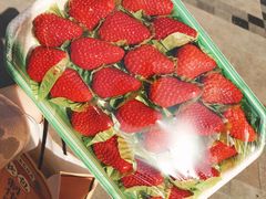 -果蔬好生活超市(双井店)