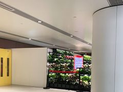 -麦当劳(北京大兴机场二层国内到达(安检外)店)