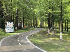 -黄海国家森林公园