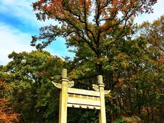 -灵谷景区