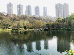 -重庆彩云湖湿地公园