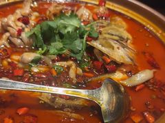 -杨氏青龙虾·羊蝎子(金盛路总店)