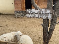 -HERRE·FARM 赫尔露营农场·团建聚会包场