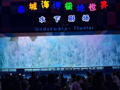 -泉城欧乐堡海洋极地世界