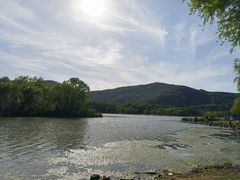 -长广溪湿地公园