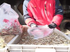 -栗满秋(燕丰西坝河店)