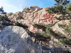 -崂山仰口游览区