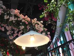 -沪小胖小龙虾(淮海中路旗舰店)