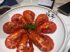-点都德·毕德寮