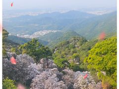 -梧桐山风景名胜区