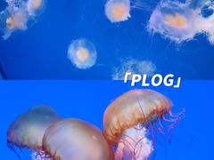 -海合安青岛极地海洋公园