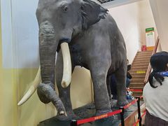 -国家自然博物馆