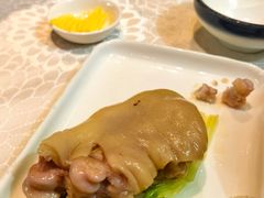-丁老爷子苏香圆