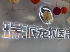 -瑞派宠物医院·24h·骨外科·皮肤科·全科宠物医疗转诊中心(沈阳浑南院)
